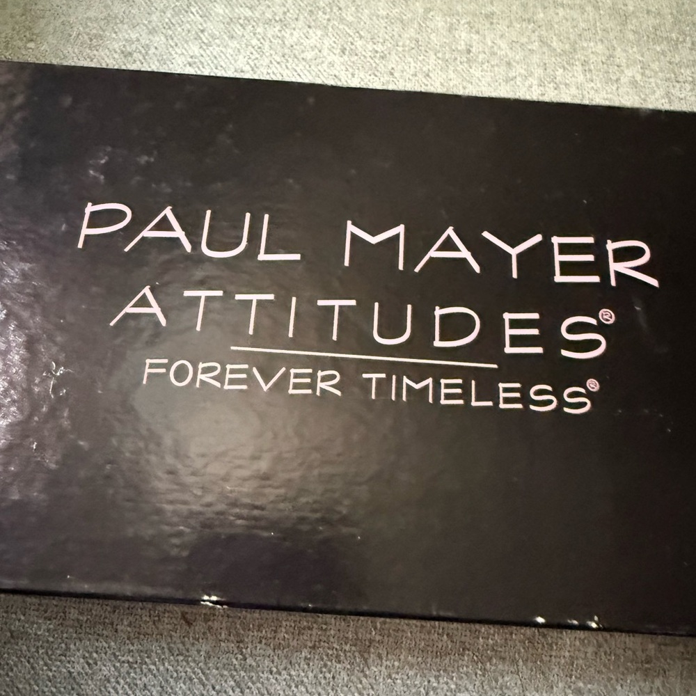 Paul Mayer Black Flats with Bow Detail - Picture 5 of 6